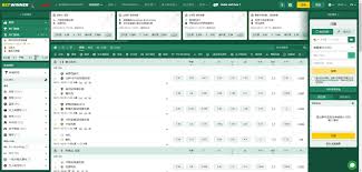 Discover the Thrilling World of Betwinner Sportsbook