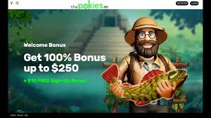 Discover the Best Online Casino Australia for Your Gaming Needs