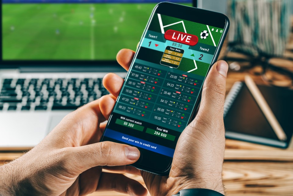 Top-rated sports betting platforms for the modern bettor