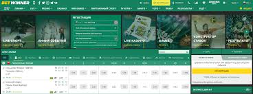 Everything You Need to Know About BetWinner