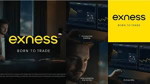 The Comprehensive Guide to Exness Forex Brokers