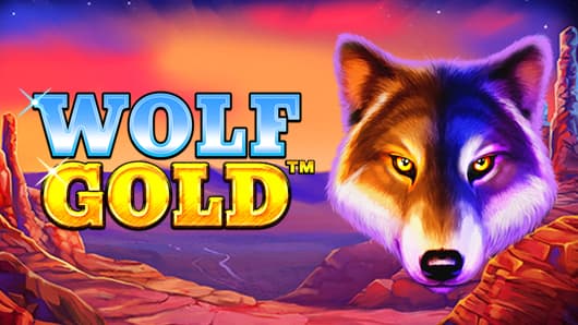 wolf gold free play 모험과 기회의 세계 wolf gold free play 모험과 기회의 세계