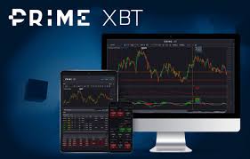 Discover the Power of Online Trading with PrimeXBT A Comprehensive Guide