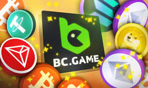 The Essential Guide to the BCGame.vc KYC Process
